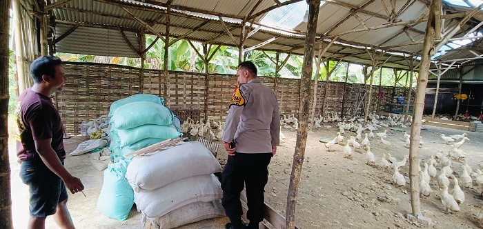 Polisi Sambang Peternak Bebek Desa Segodobancang