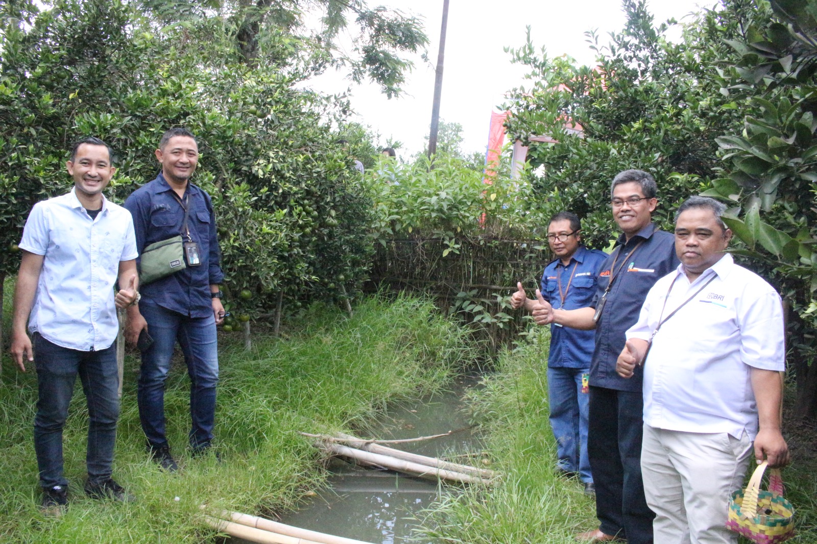 Jeruk Semboro, Harumnya Inovasi Petani Binaan BRI