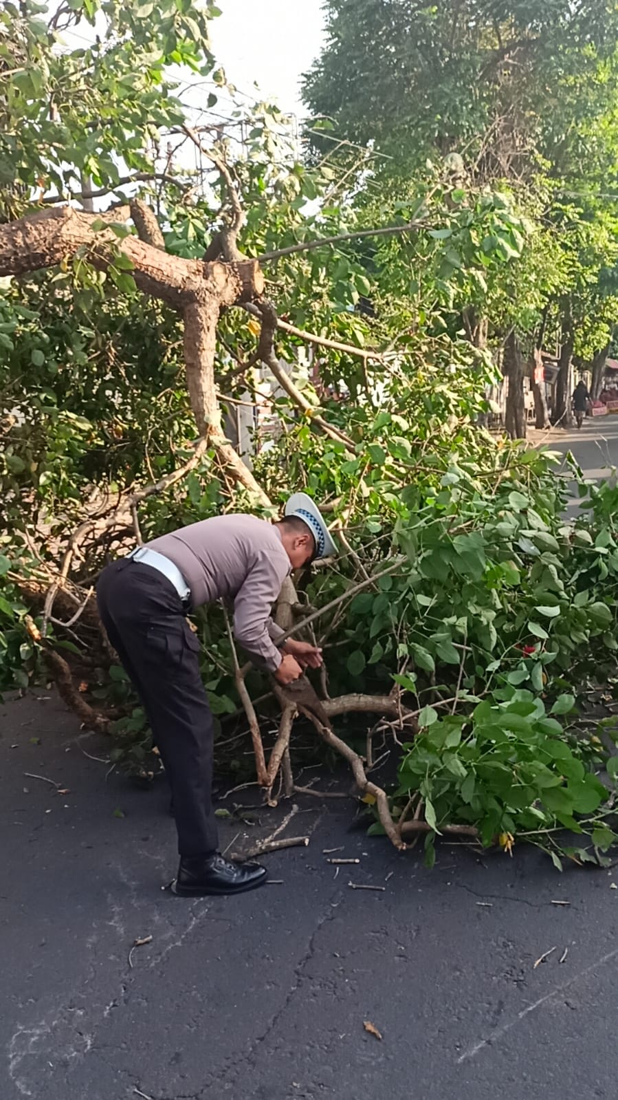 Patroli Wilayah, Satlantas Polres Kediri Kota Bantu Atasi Pohon Tumbang