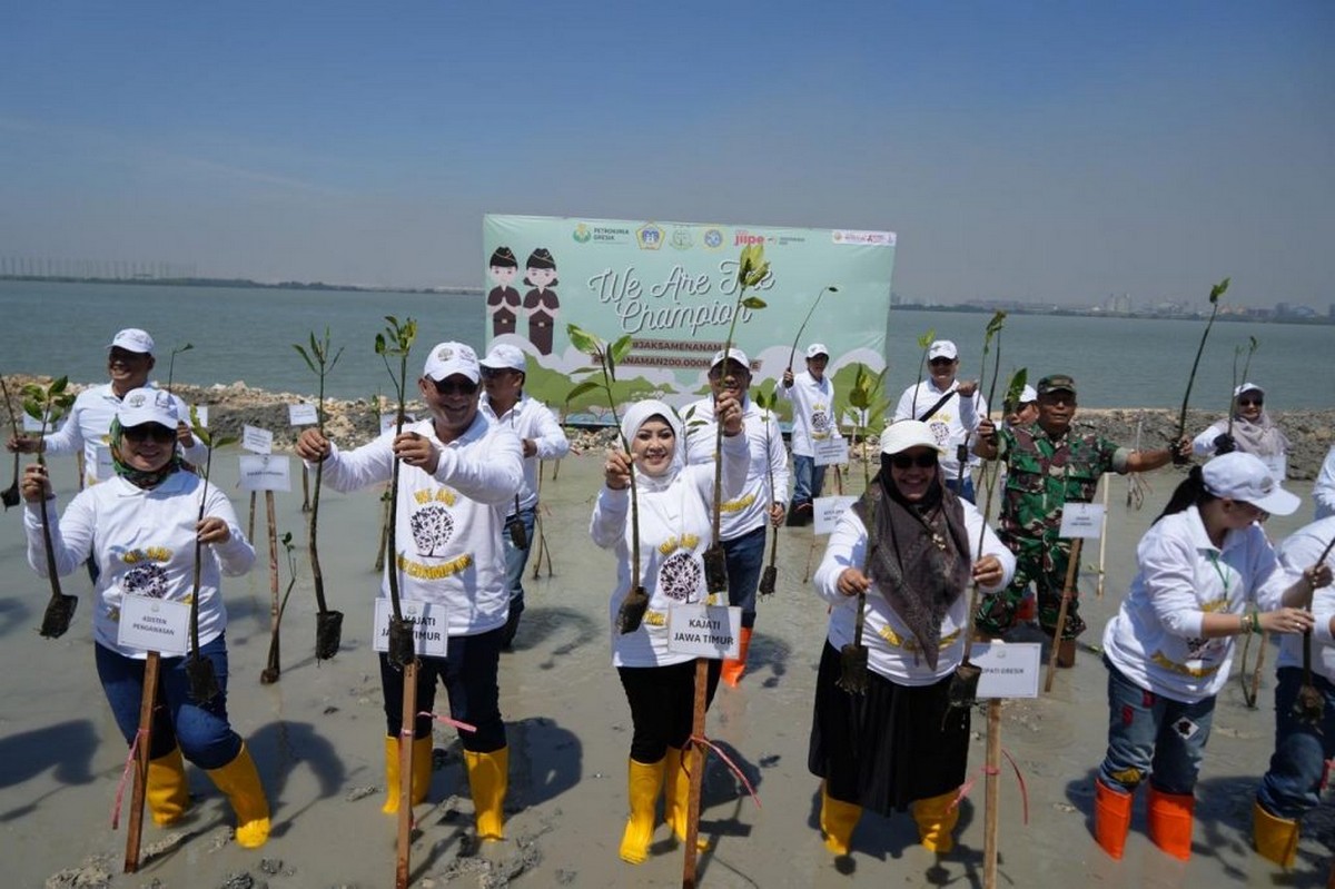 Jaksa Menanam, Kejati Jatim Tanam 200.500 Pohon Bakau di Pesisir Pantai Utara