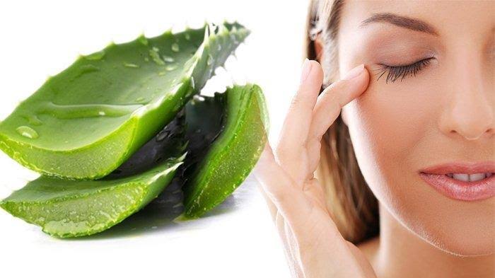 Cara Membuat Masker Lidah Buaya Dan Tips Pemakaiannya