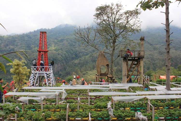 Inilah 8 Destinasi Wisata di Mojokerto yang Instagramable