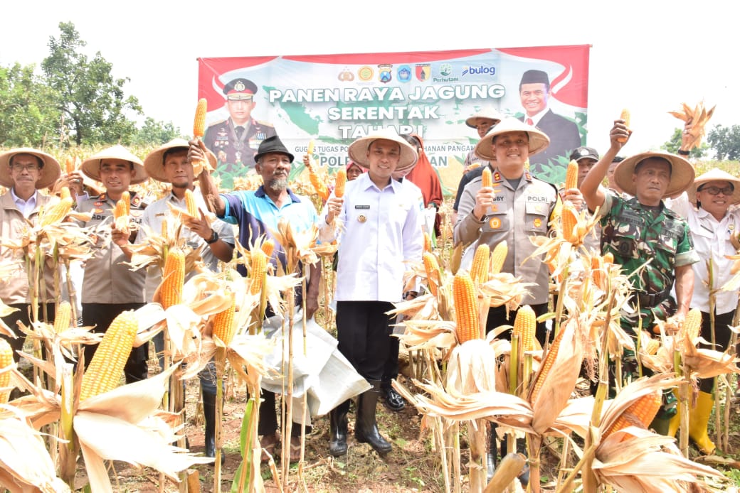 Dukung Swasembada Pangan, Pemkab Lamongan Panen Raya Jagung di Lahan Tidur