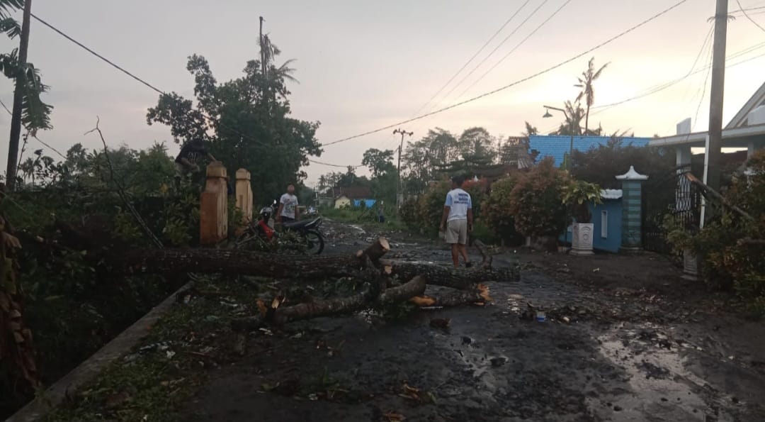 Hujan Angin Hantam Blitar, Pohon Tumbang Tutup Jalan dan Rusak Rumah Warga