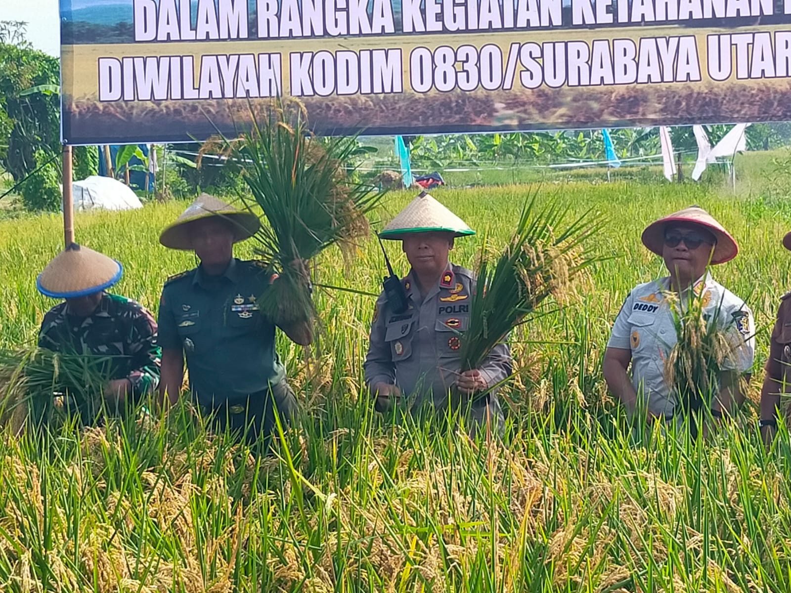 Polsek Pakal Berikan Dukungan Panen Raya Kodim 0830 Surabaya Utara