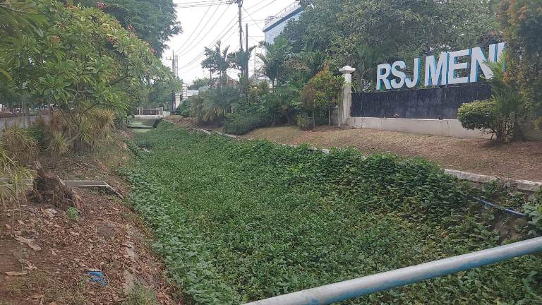 Sungai di Depan RSJ Menur Kumuh, Tumbuhi Tanaman Liar dan Penuh Sampah