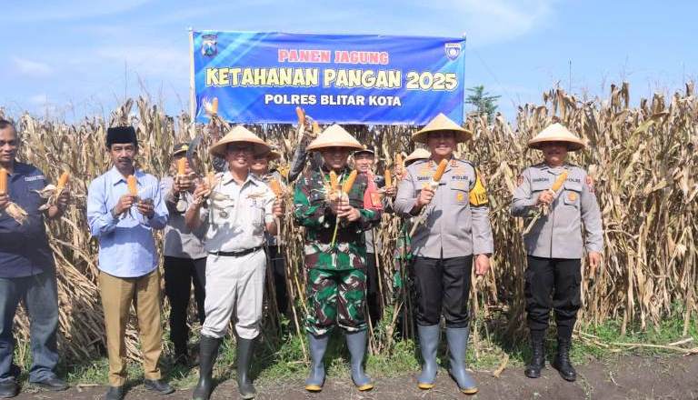 Dukung Ketahanan Pangan, Polres Blitar Kota Panen Raya Jagung