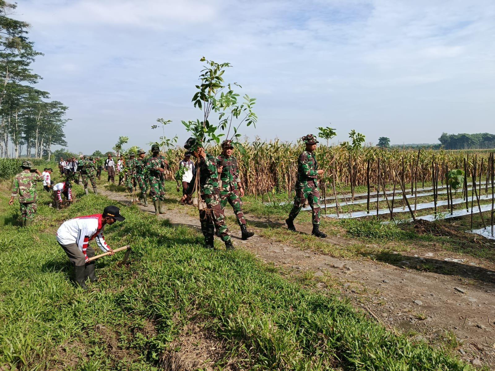 Program TMMD Ke-127, Kodim 0809/Kediri Lakukan Penghijauan di Cagar Alam Simpenan