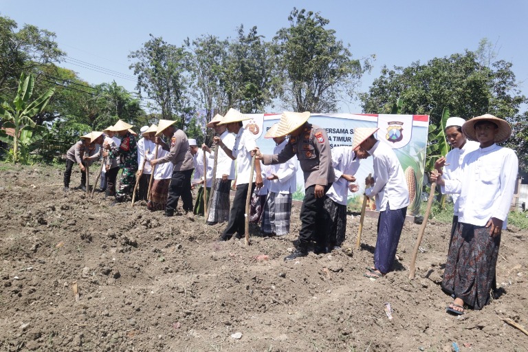 Polres Pelabuhan Tanjung Perak dan Santri Al Fitrah Tanam Jagung , Wujudkan Ketahanan Pangan di Surabaya
