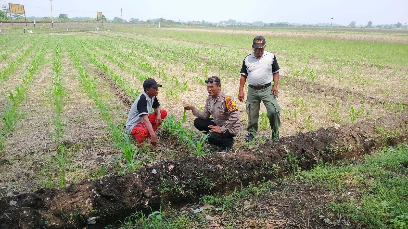 Polsek Balongbendo Optimalkan Pendampingan Ketahanan Pangan