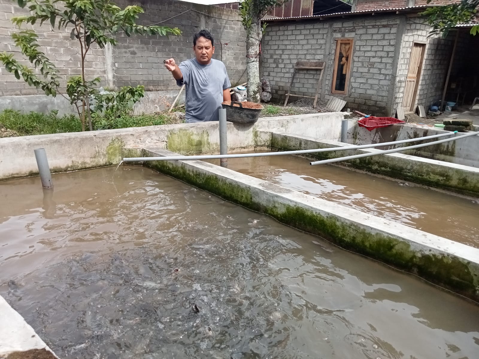 Jadi Korban PHK, Ahli Madya Teknik Mesin Ini Sukses Budidayakan Lele Rumahan