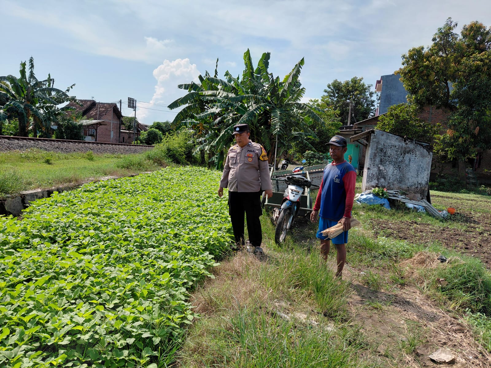 Motivasi Ketahanan Pangan, Polisi Cek Perkembangan Sayur di Desa Pangkemiri