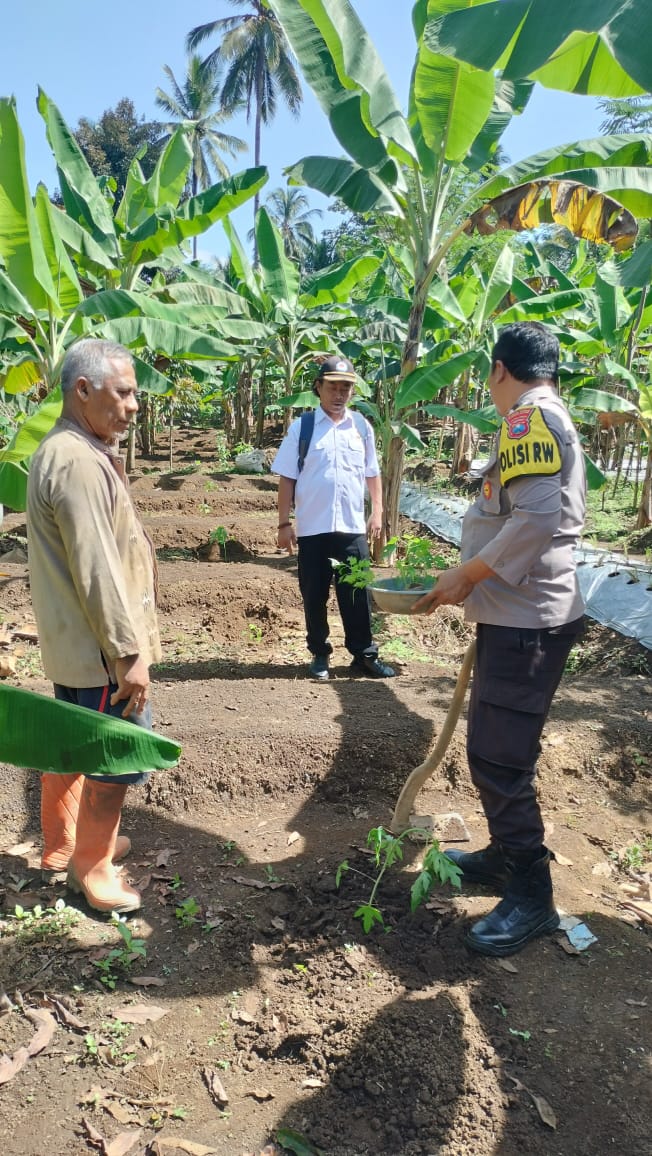 Inilah yang Dilakukan Polsek Senduro untuk Sukseskan Swasembada Pangan Nasional