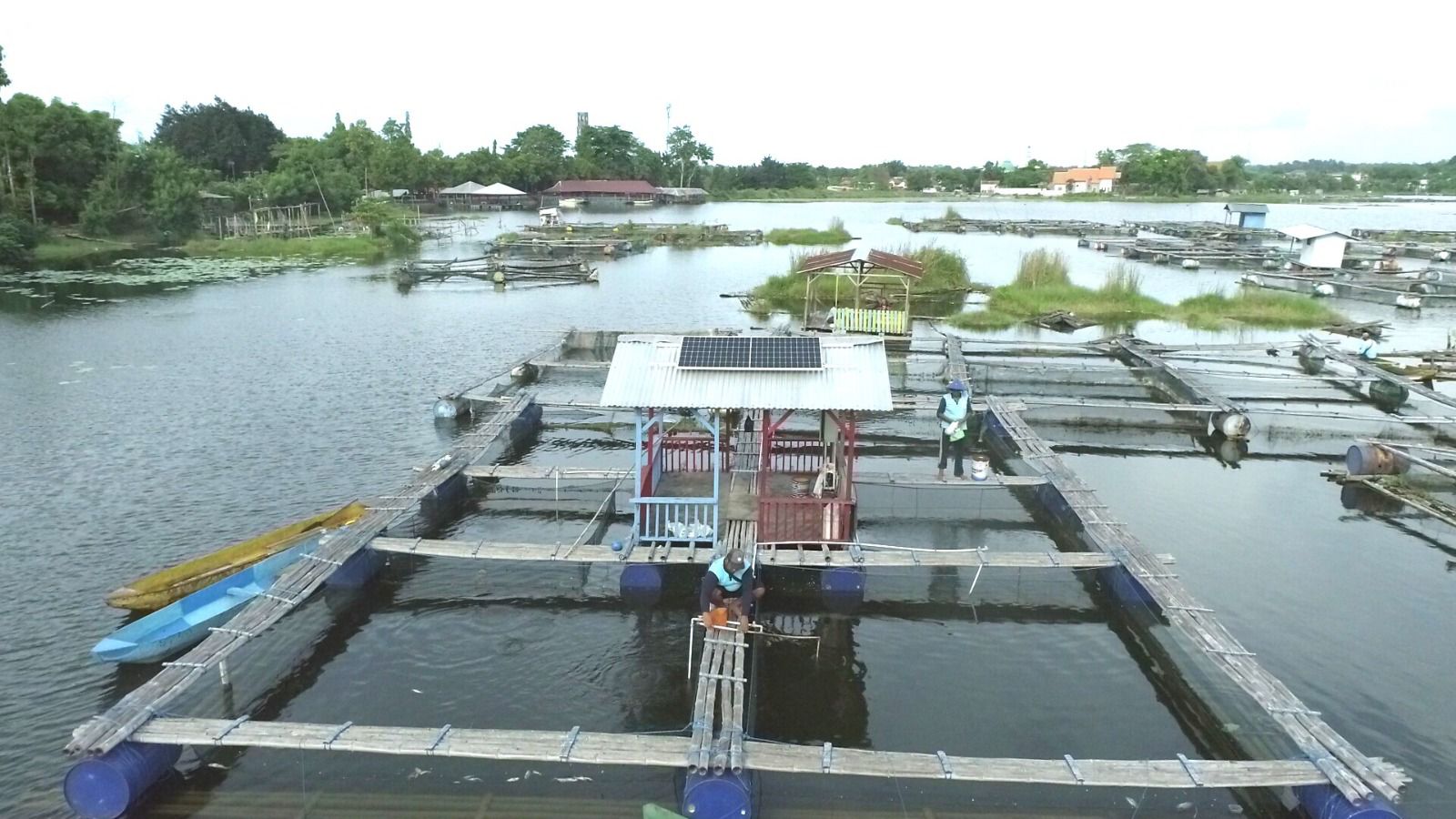 PLN Indonesia Power Hadirkan Energi Bersih untuk Nelayan Pasuruan