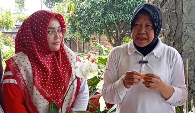 Cagub Risma Optimis Jeruk Malang Go International: Kualitas Unggul, Rasanya Segar dan Manis