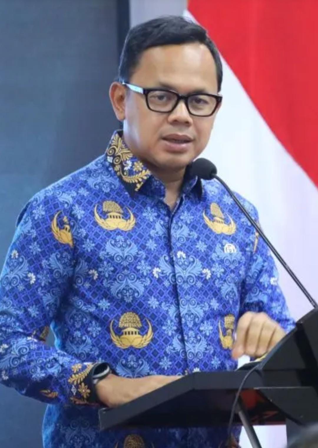 Wamendagri Tekankan Inovasi Daerah sebagai Pendukung Program Pembangunan Nasional