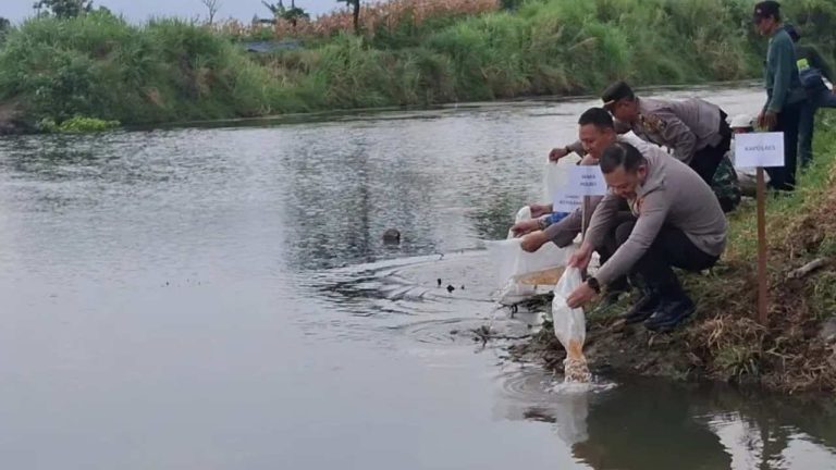 Jaga Ekosistem Sungai, Kapolres Tulungagung Tebar 5.000 Benih Ikan Tombro di Sungai Ngrowo