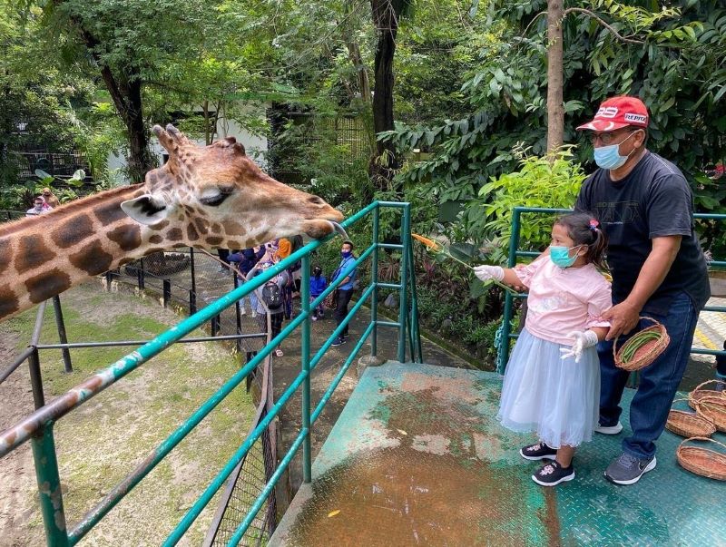 Wow! 15 Ribu Wisatawan Kunjungi Kebun Binatang Surabaya di Libur Lebaran