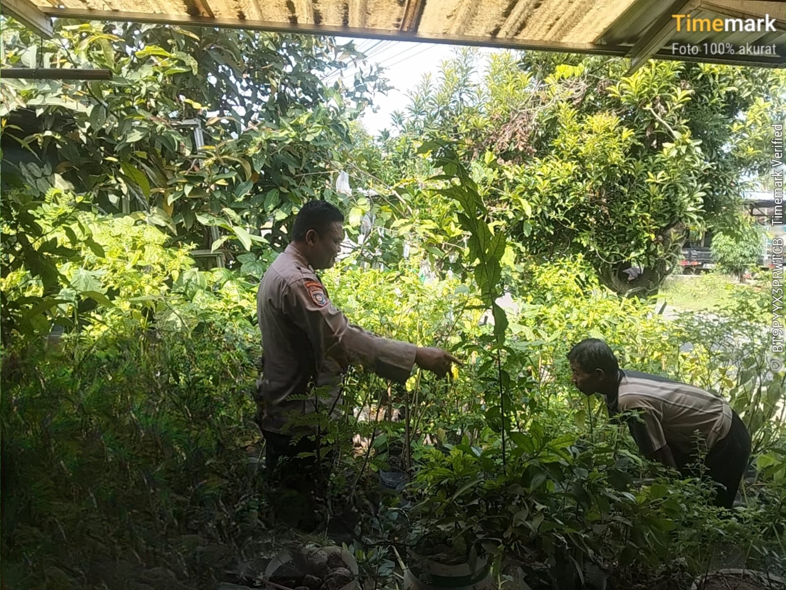 Patroli Pekarangan Pangan Bergizi, Polsek Geneng Dukung Ketahanan Pangan di Ngawi