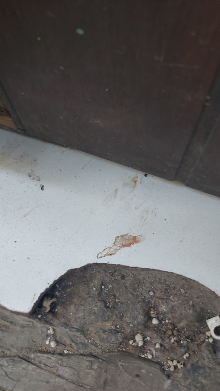 Ada Bercak Darah di Lantai Keramik, Pelaku Diduga Memutilasi di Rumah Kontrakan