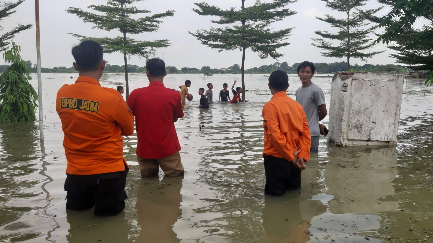 Sawah dan Puluhan Rumah Warga Bungah Gresik Terdampak Banjir Bengawan Solo