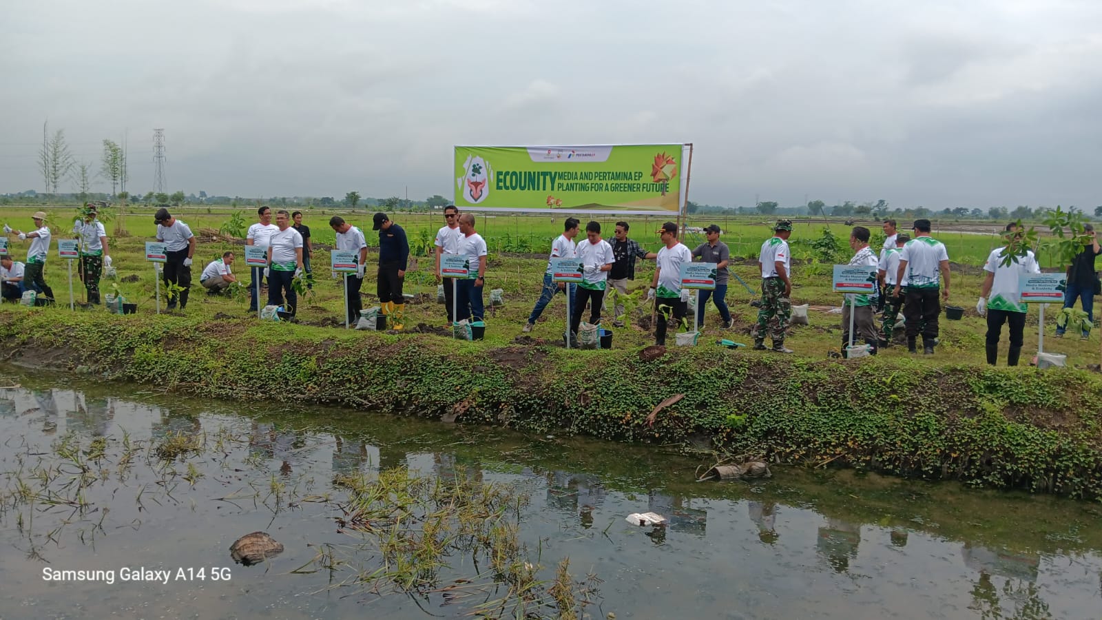 Tanam Ribuan Pohon, Pertamina EP Sukowati Field Targetkan Kurangi Dampak Perubahan Iklim