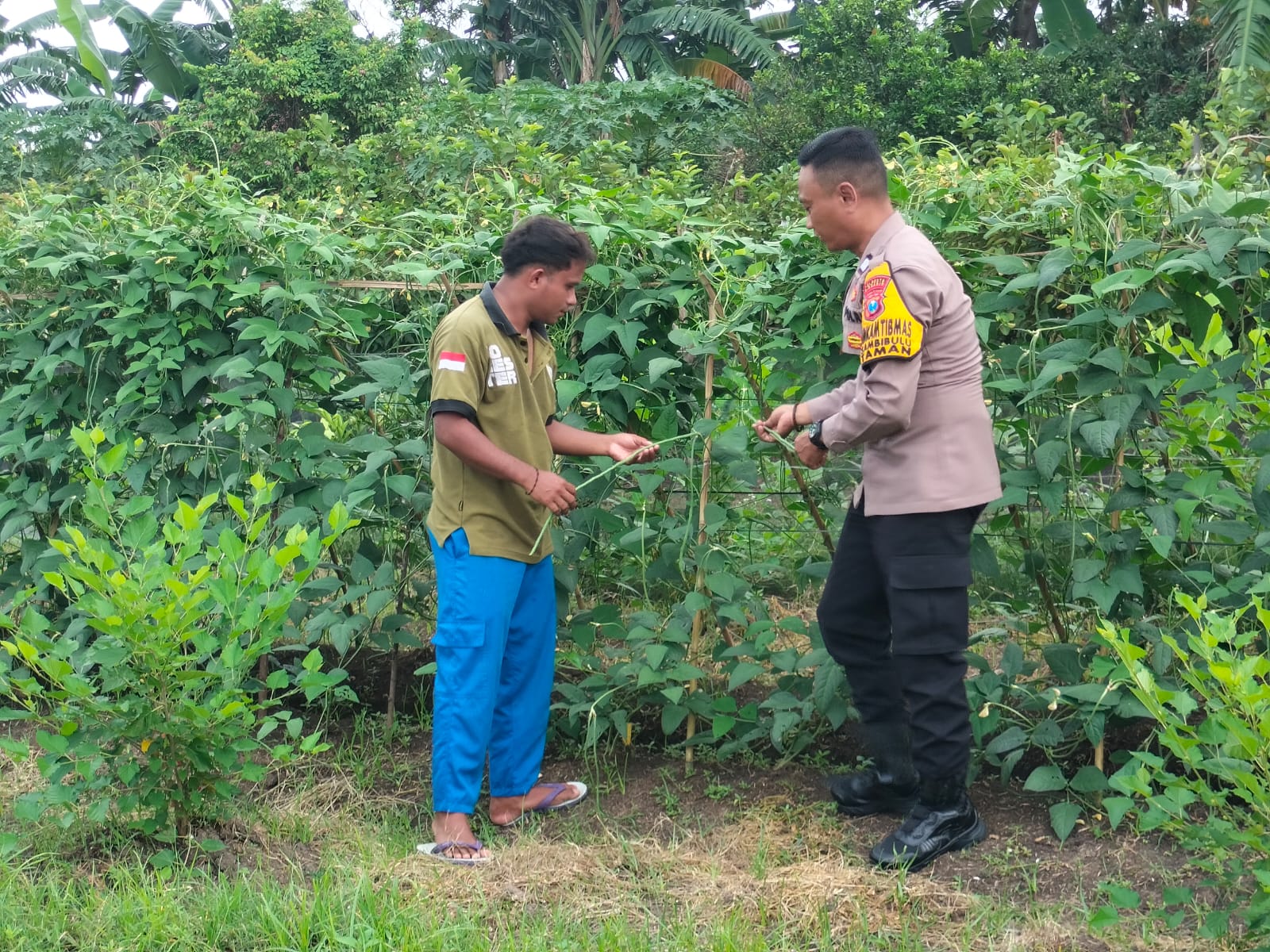 Bhabinkamtibmas Masifkan Ketahanan Pangan Tingkat Desa