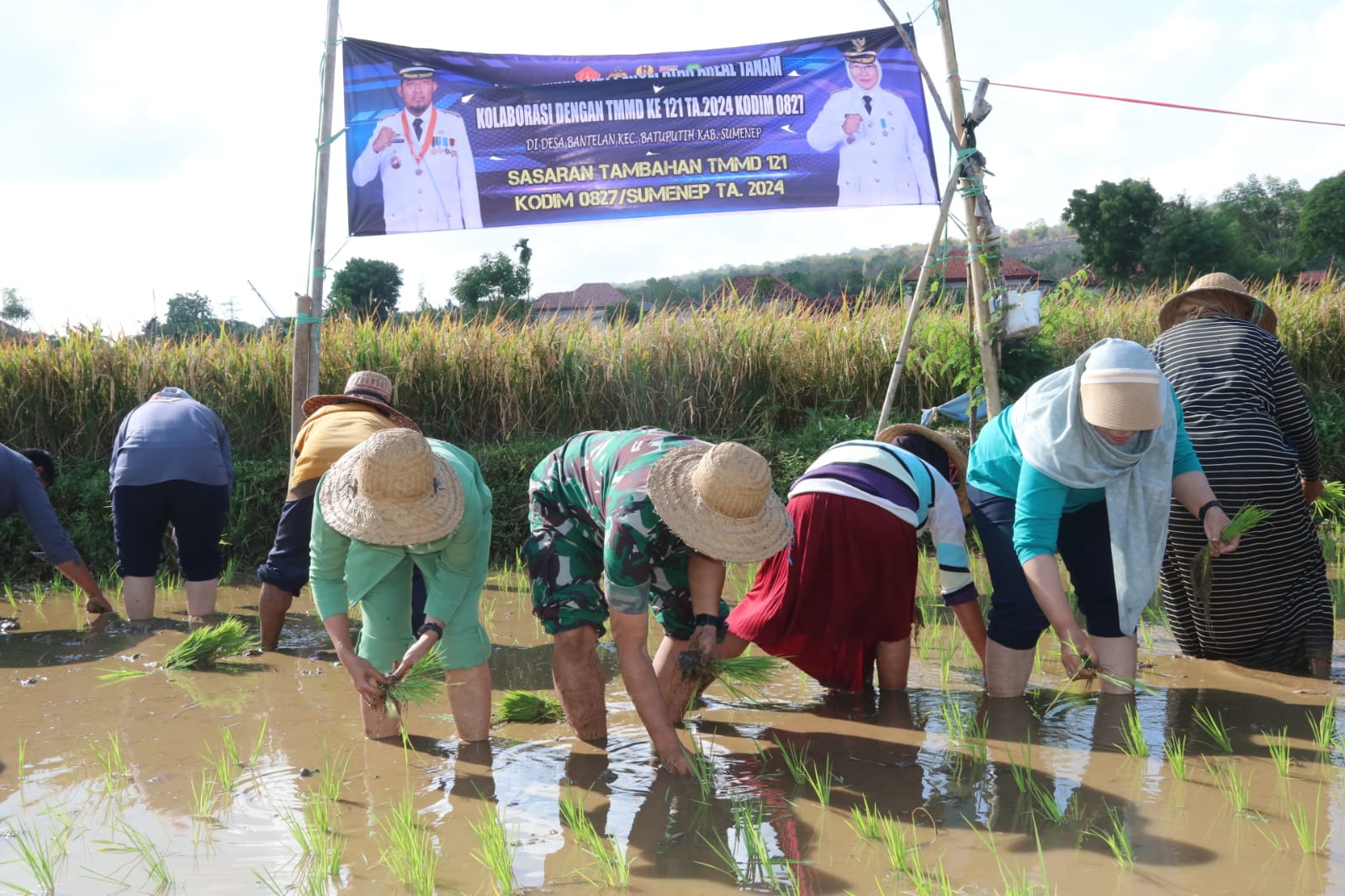 Penanaman Padi Program Unggulan Kasad, Jadi Sasaran Tambahan TMMD 121