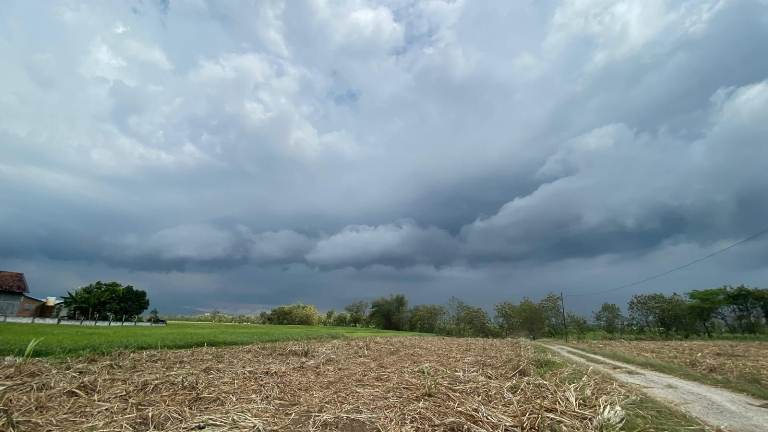 Musim Kemarau di Madiun Diguyur Hujan, BMKG Ungkap Penyebabnya