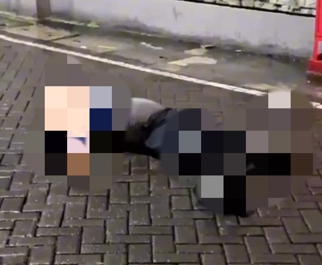 Breaking News ! Seorang Laki-laki Tewas Diduga Terjun dari Mal Surabaya Selatan