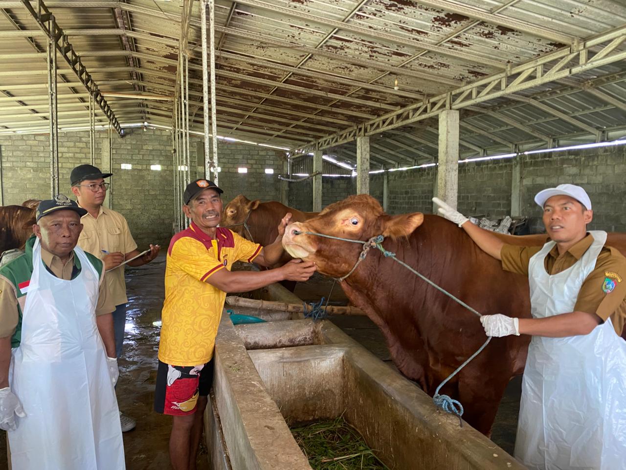 Disnak Jombang Sisir Lapak Hewan Kurban, Pastikan Bebas PMK dan Antraks
