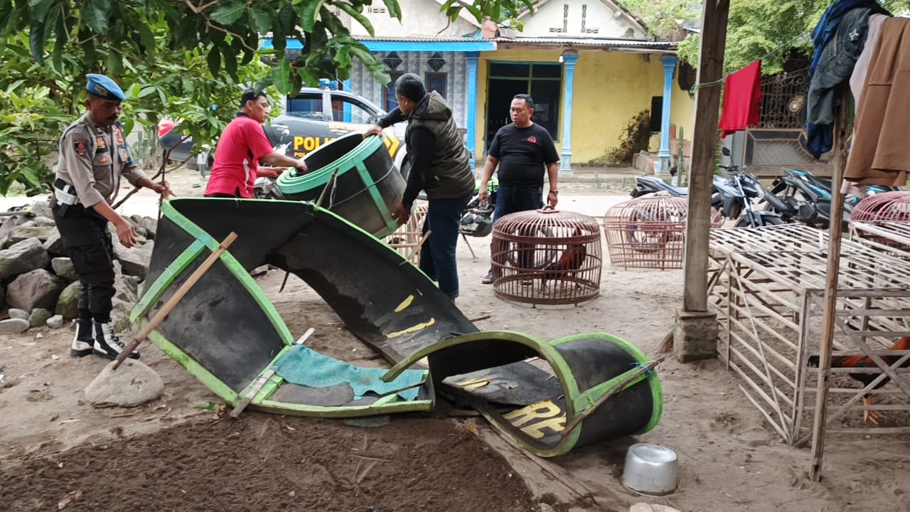 Respons Cepat Polsek Puncu Ungkap Praktik Judi Sabung Ayam