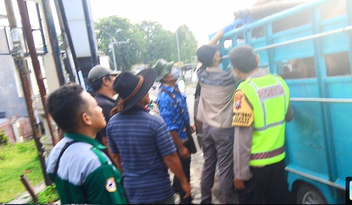 Cegah Penularan PMK, Polsek Padangan dan Dinas Peternakan Lakukan Penyekatan