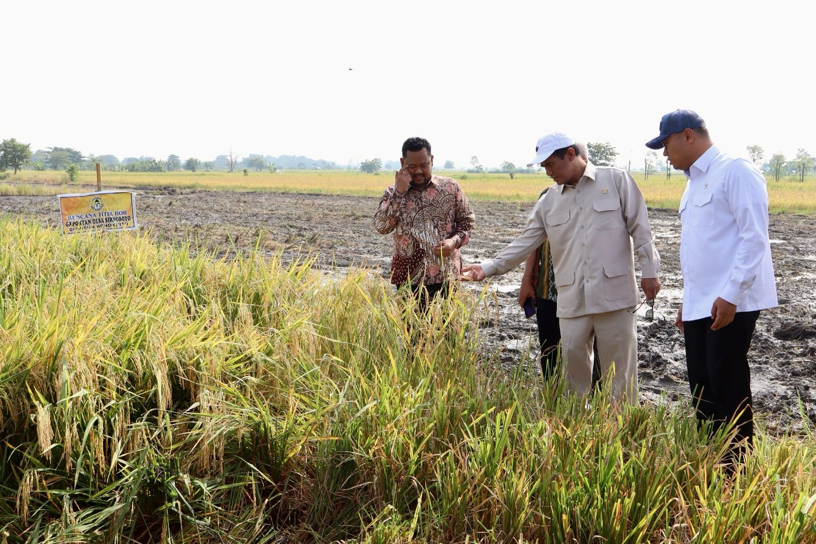 Mentan Amran Puji Hasil Pertanian Padi di Gresik Memuaskan