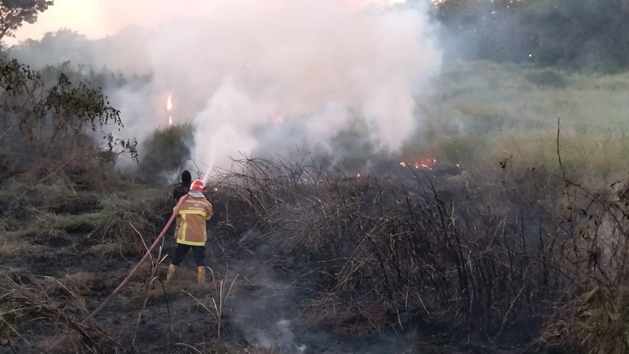 Dipicu Pembakaran Sampah, Lahan Kosong di Kawasan Komersial GKB Gresik Terbakar