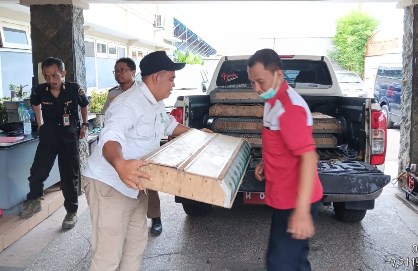 BKSDA Jatim Lepasliarkan Burung Hasil Evakuasi di Pelabuhan Tanjung Perak
