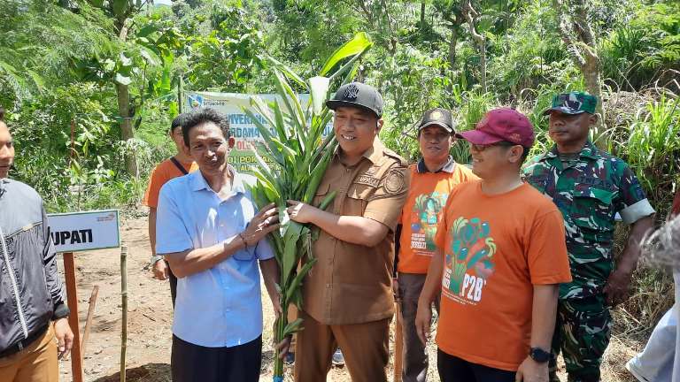 Bupati Situbondo Serahkan 6.440 Bibit Kapulaga kepada Petani Alas Bayur