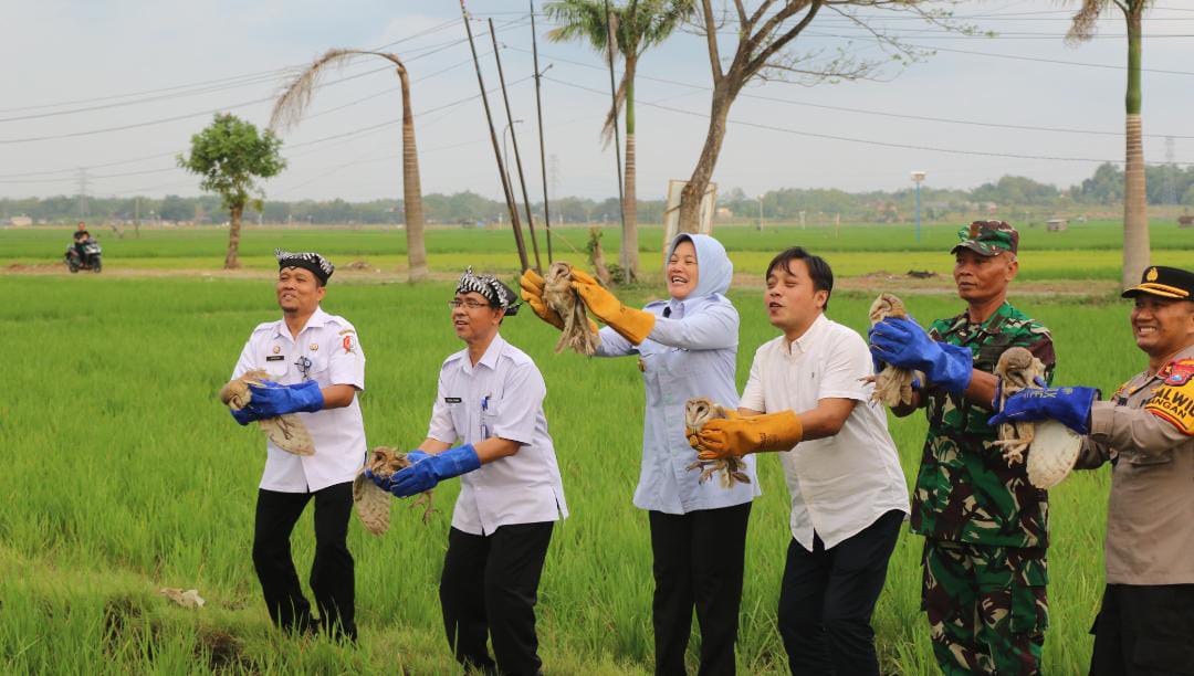 Wakil Bupati Bojonegoro Lepaskan Burung Hantu Pengendali Tikus Ramah Lingkungan di Padangan