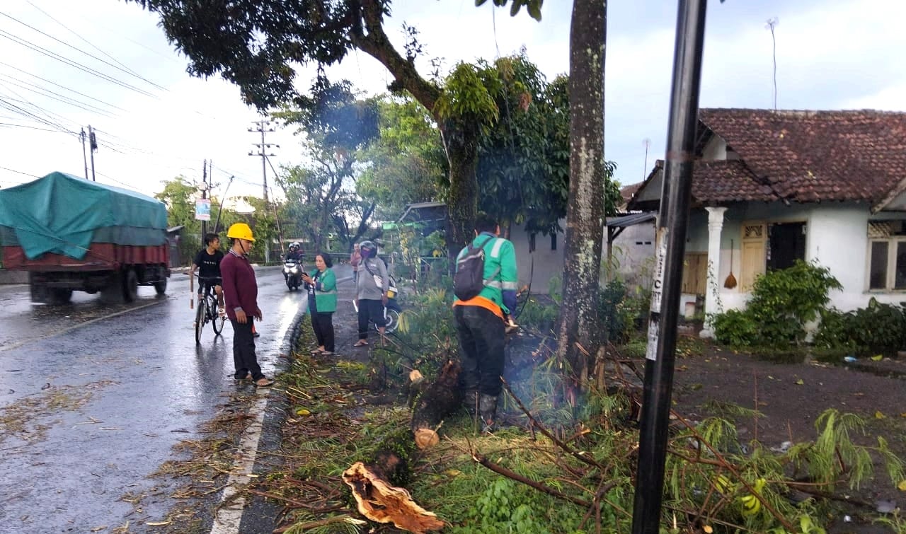 Ajung Dilanda Pohon Tumbang, Polsek Bergerak Cepat