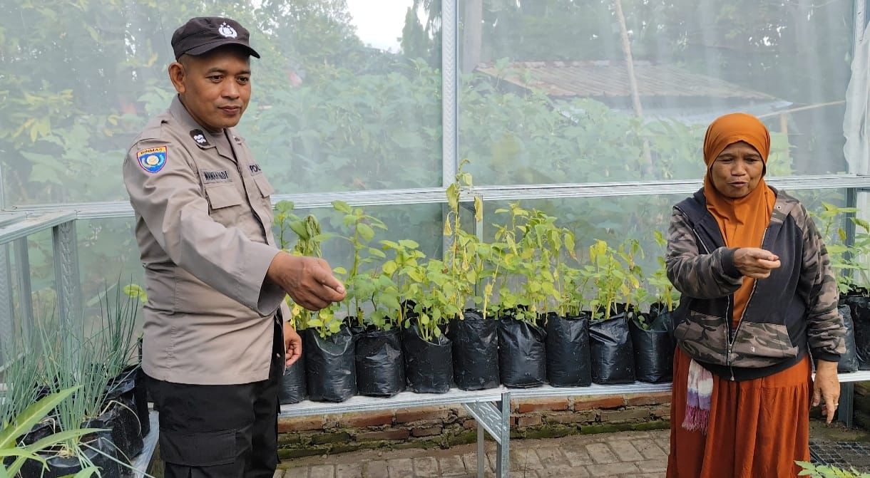 Polsek Giri Dampingi Warga Rawat Tanaman Cabai di Pekarangan Rumah
