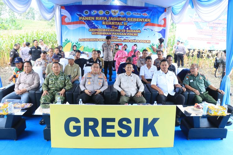 Polres Gresik Panen Raya Jagung 80 Ton di Panceng, Dukung Ketahanan Pangan Nasional