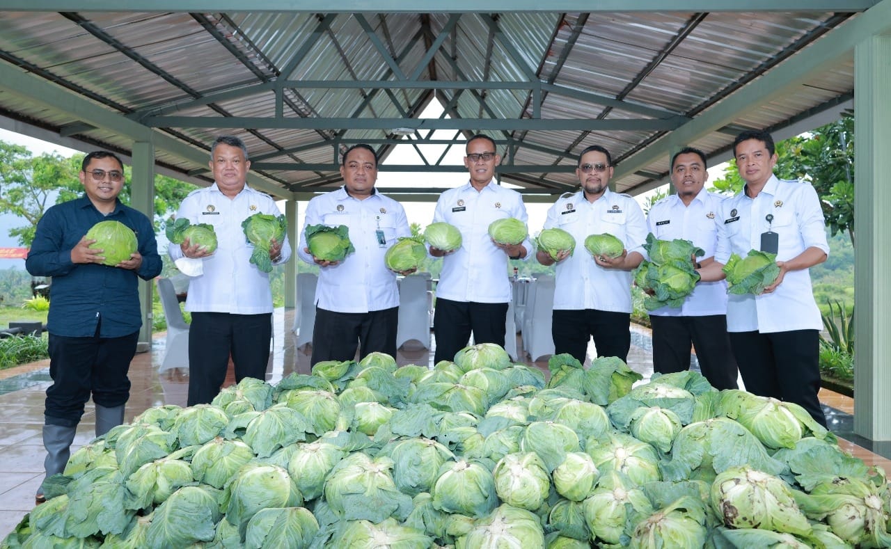 Tembus Pasar Internasional, 20 Ton Kubis Hasil Panen Lapas Malang Diekspor ke Taiwan