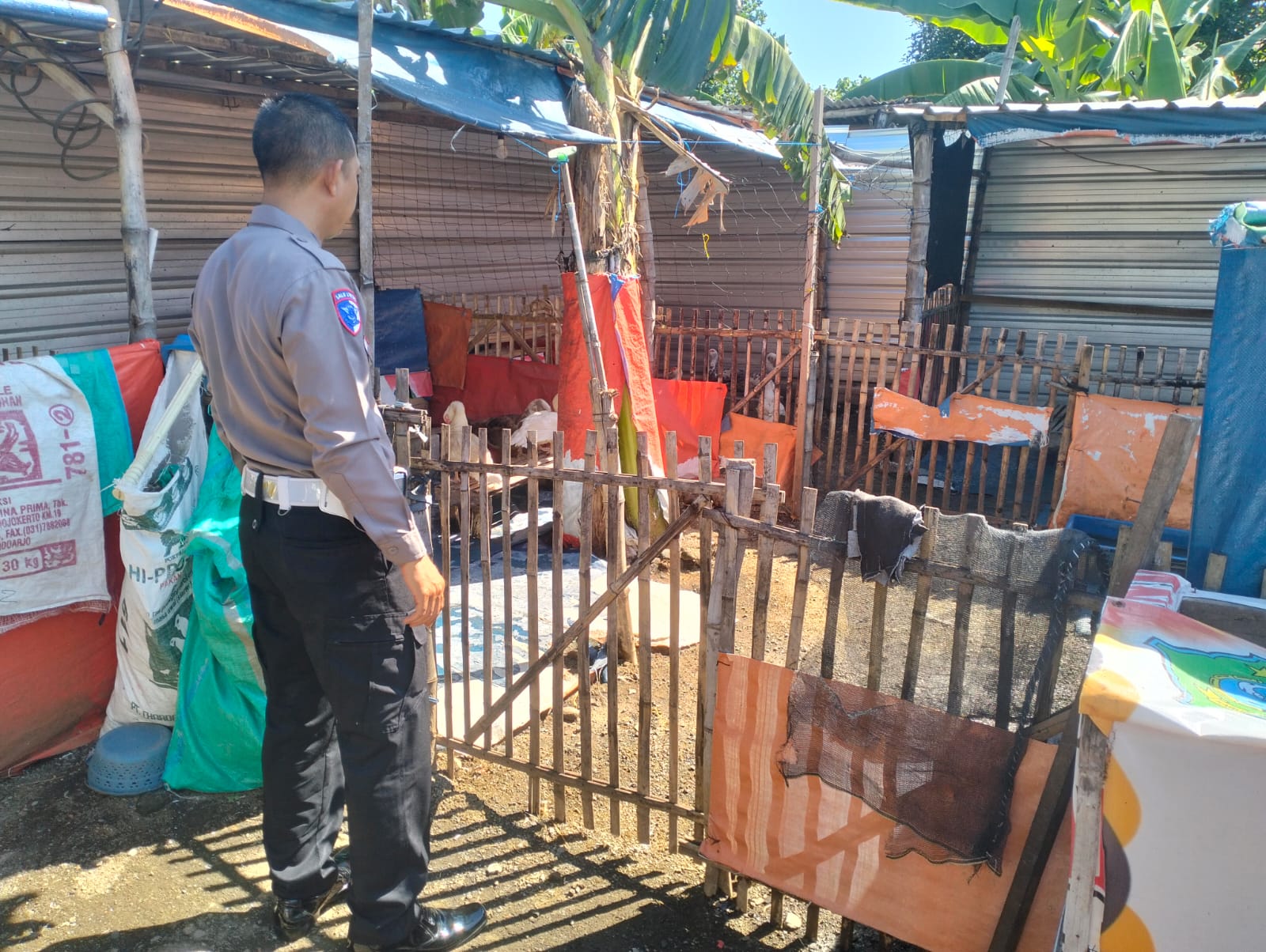 Polsek Porong Apresiasi Budi Daya Entok Warga Plumbon