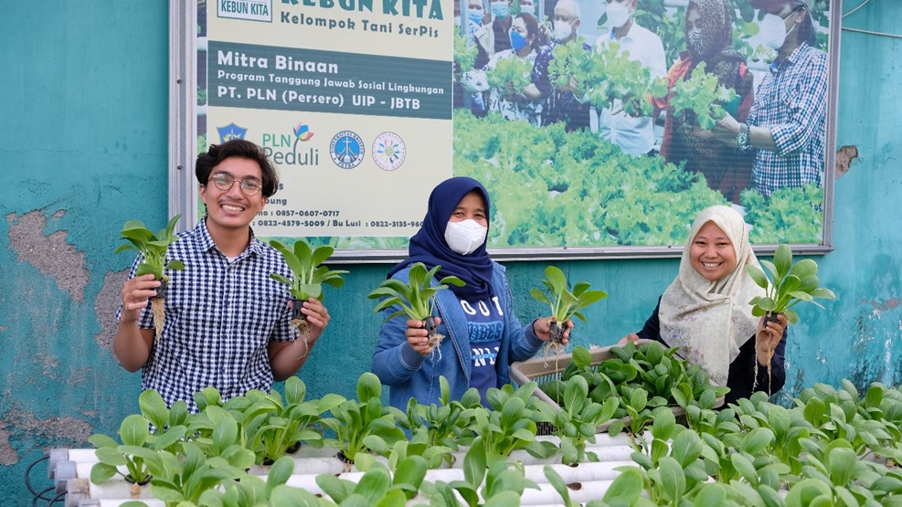 PLN UIP JBTB Dukung Kelompok Tani Serpis Surabaya Sambut Nataru dengan Kembangkan UMKM Berbasis Urban Farming