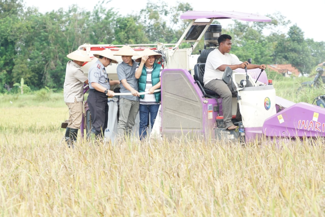 Bupati Bangkalan dan Forkopimda Panen Raya di Kelurahan Tunjung