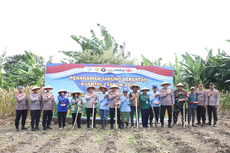 Polres Pelabuhan Tanjung Perak Tanam Jagung Serentak Bersama Poktan dan Bulog