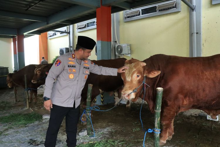 Polres Gresik Salurkan Hewan Kurban Iduladha 2026, Wujud Kepedulian Sosial 
