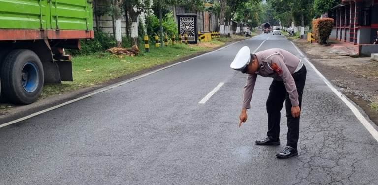 Tertabrak Tronton di Ajung, Pelajar Jember Kritis