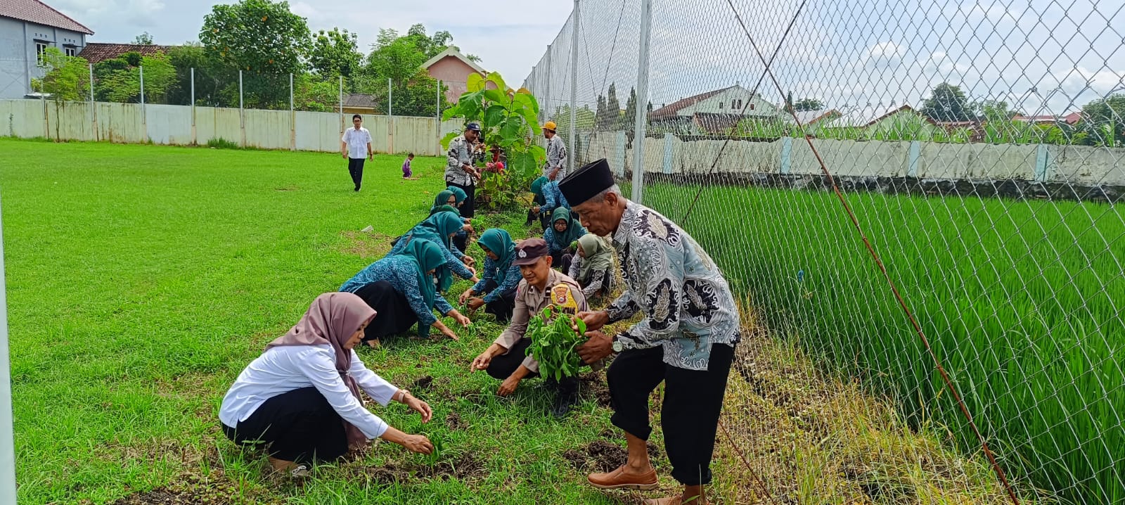 Hari Desa, Jajaran Polsek Dander Ikut Menanam Tanaman Holtikultura