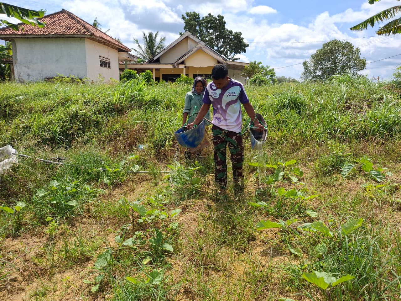 Terong Ungu dan Harapan Masyarakat: Kepedulian Satgas TMMD 127 di Sumenep